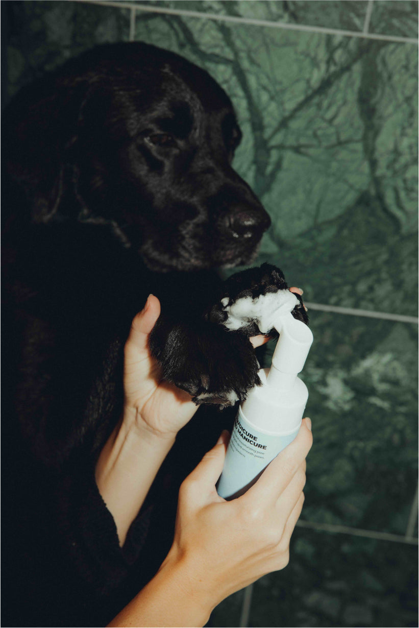 Elvis Spaw Kit - The Complete Dog Care Ritual