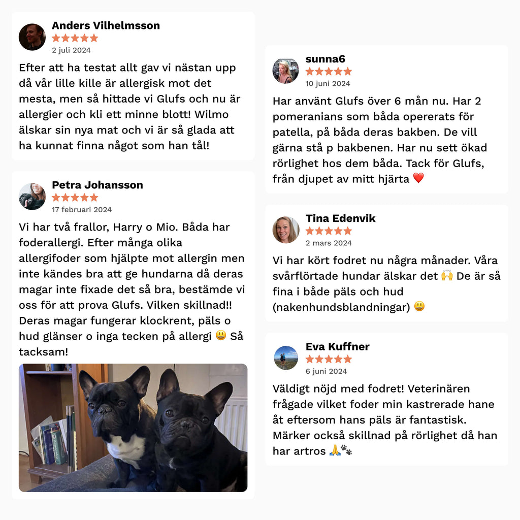 Musselmeow