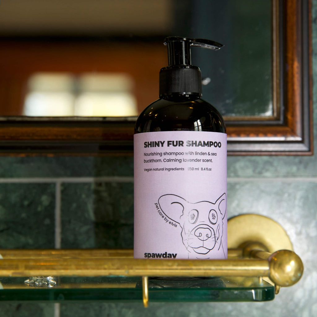 Weekly Routine - Wash and Care Kit
