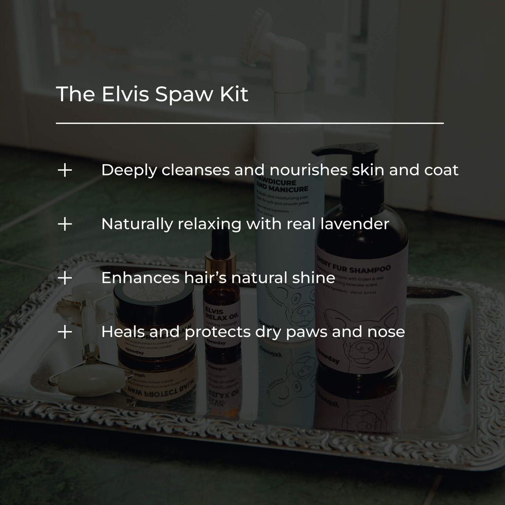 Elvis Spaw Kit - The Complete Dog Care Ritual