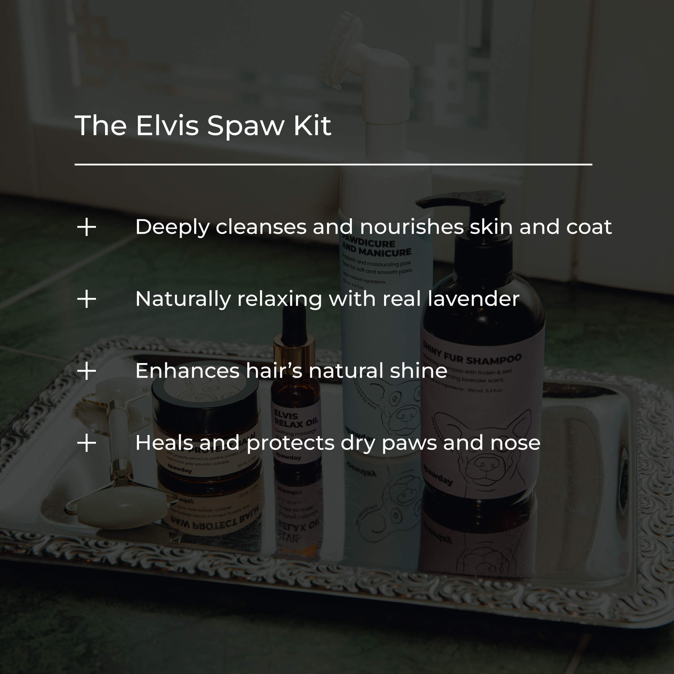Elvis Spaw Kit - The Complete Dog Care Ritual