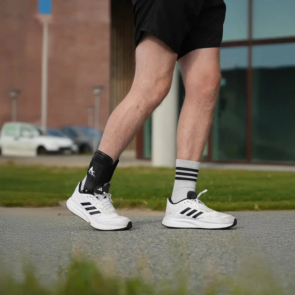 Active Ankle T2
