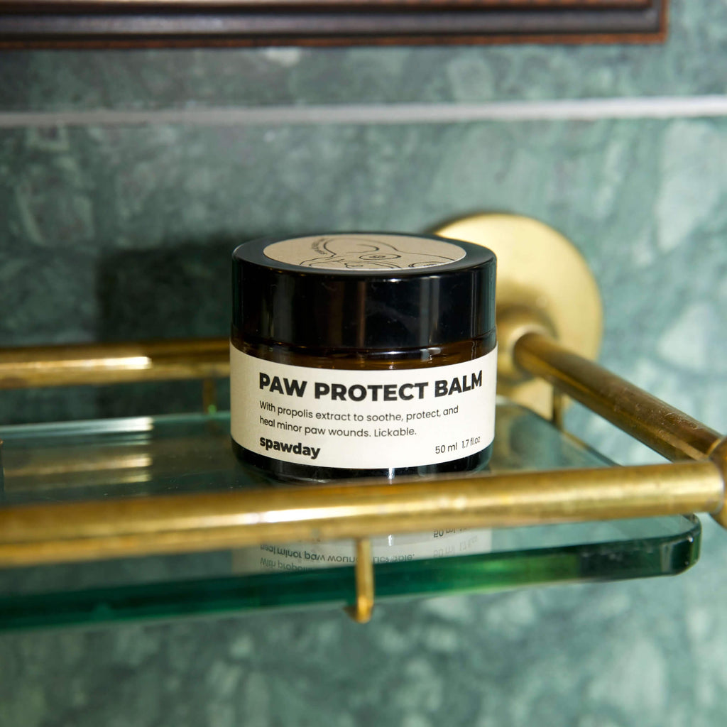 Pawdicure Set - For Dry and Dirty Paws