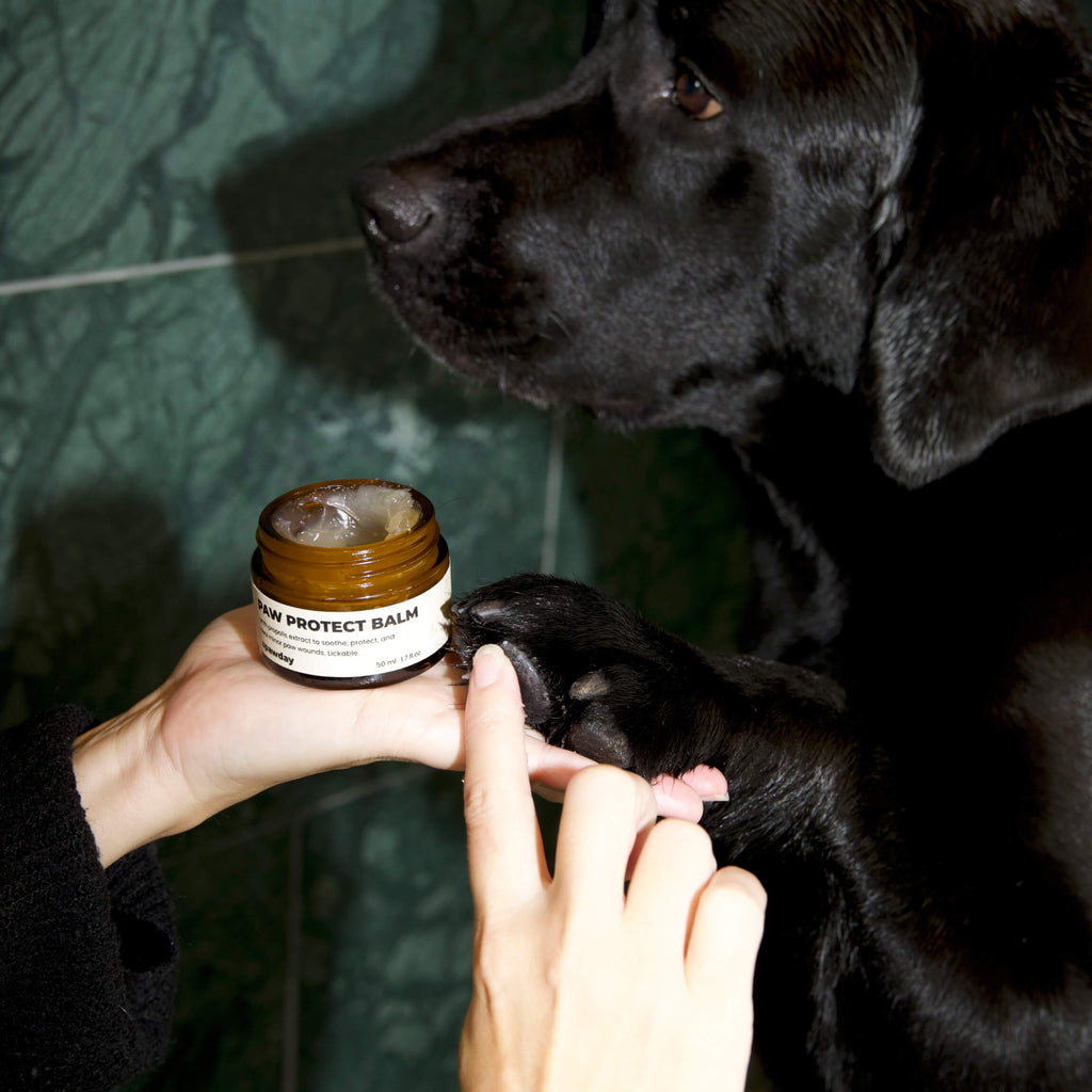 Pawdicure Set - For Dry and Dirty Paws
