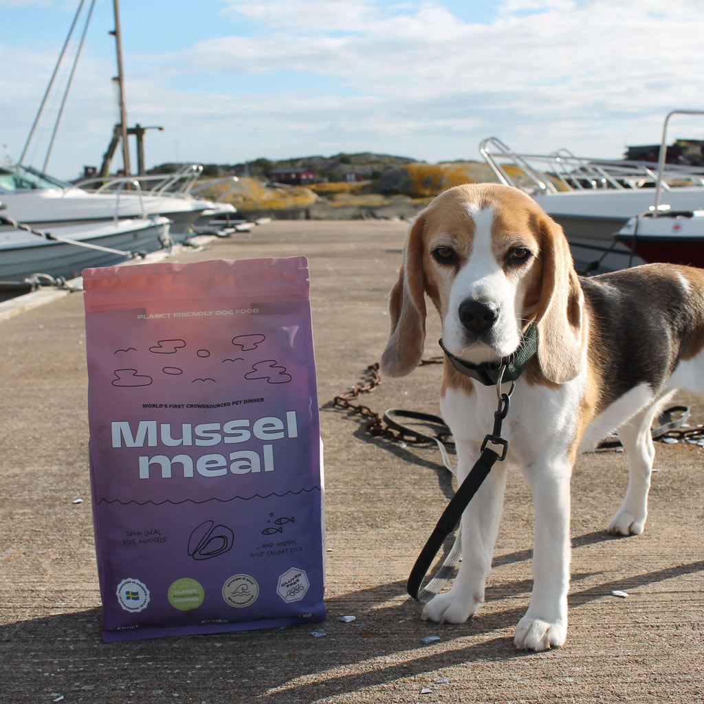 Musselmeal