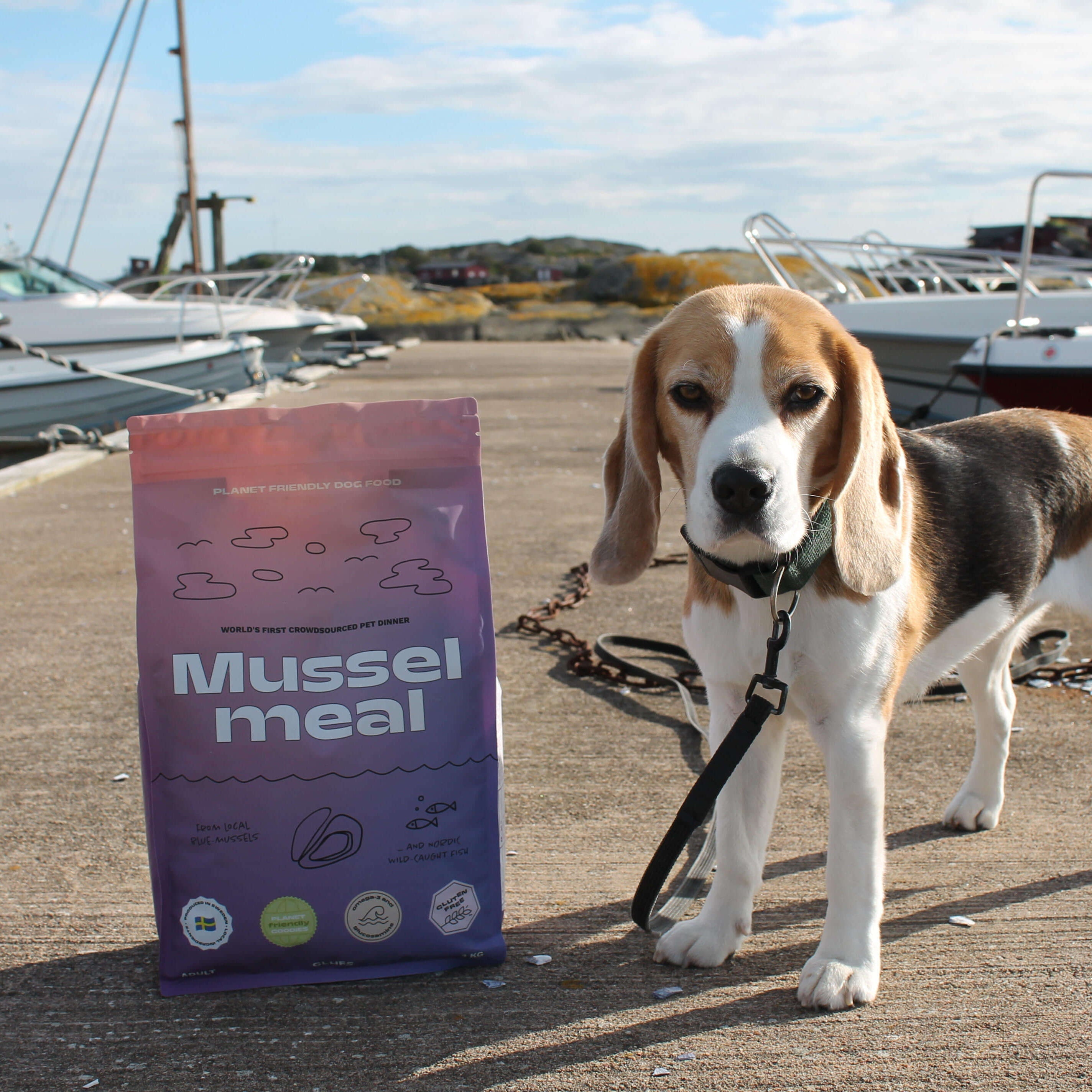 Musselmeal