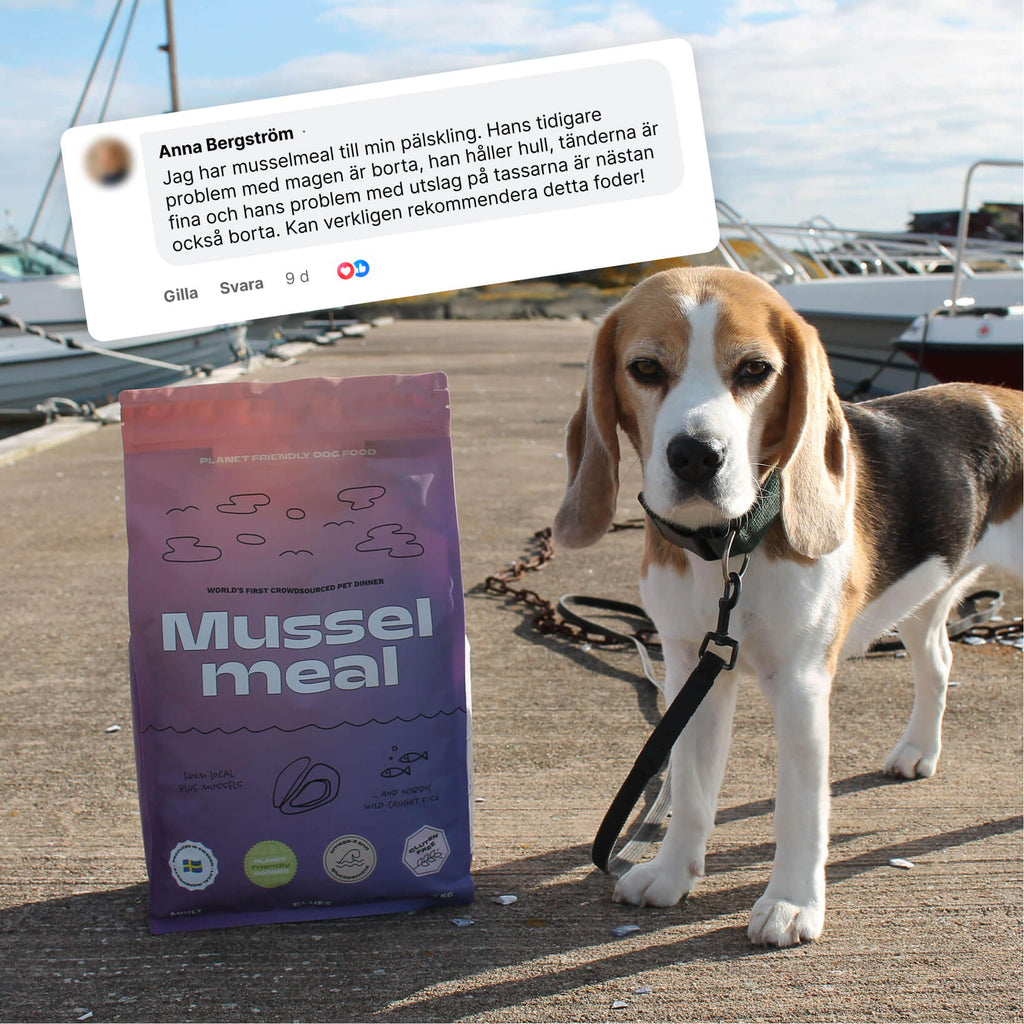 Musselmeal